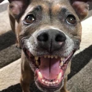 Meet your Posher, Beth